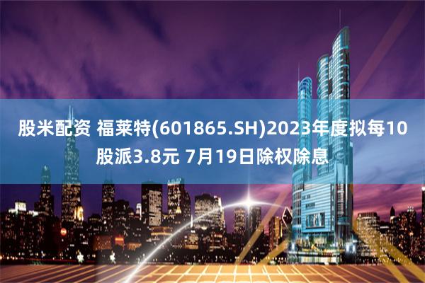 股米配资 福莱特(601865.SH)2023年度拟每10股派3.8元 7月19日除权除息